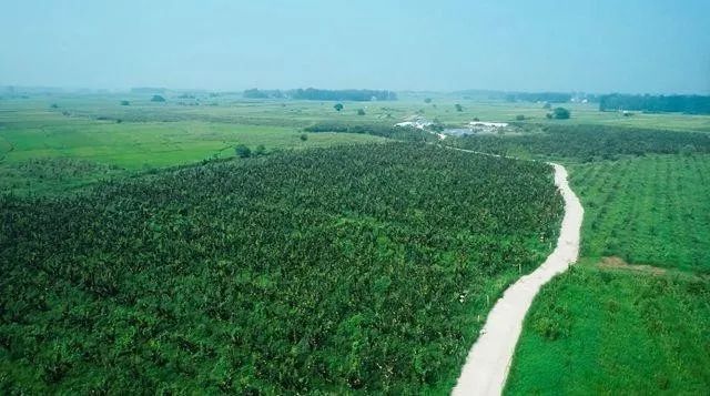 农村三产融合如何搞？一位创业者投资心经：先产品再产业