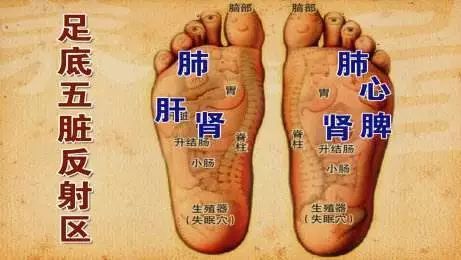 鍏荤敓鐭ヨ瘑澶磋鍑夎剼瑕佺儹,涓尰鍐ぉ澶磋鍐疯剼瑕佹殩