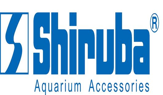 群星闪耀第21集完整版,群星璀璨专题第十期视频