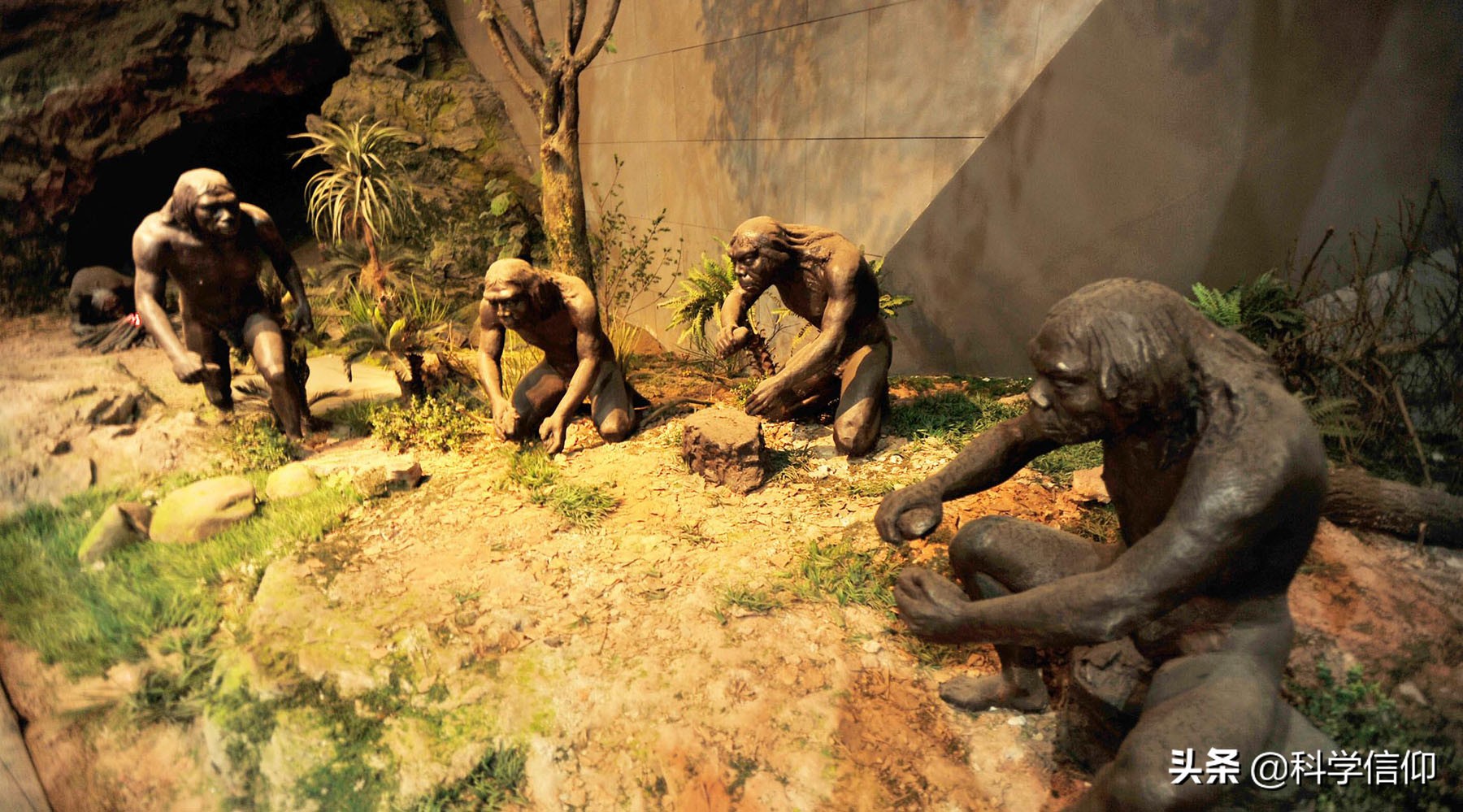 世界各地人种不同，全部起源于非洲？中国人未必