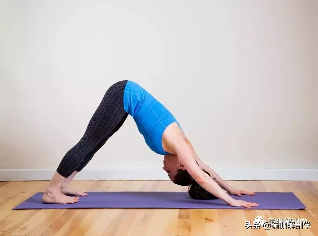 瑜伽横叉热身瑜伽体式,瑜伽零基础怎么学会竖叉