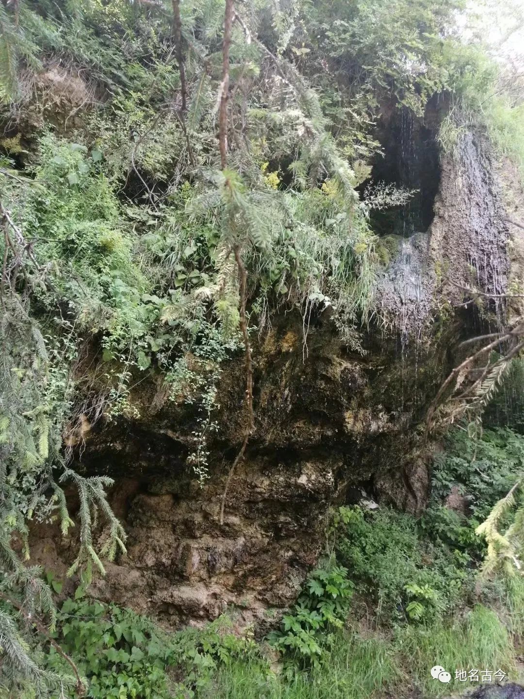 甘肃和政我为家乡代言,和政的家乡风景