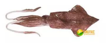 舟山4月份海鲜攻略,舟山海鲜代加工攻略