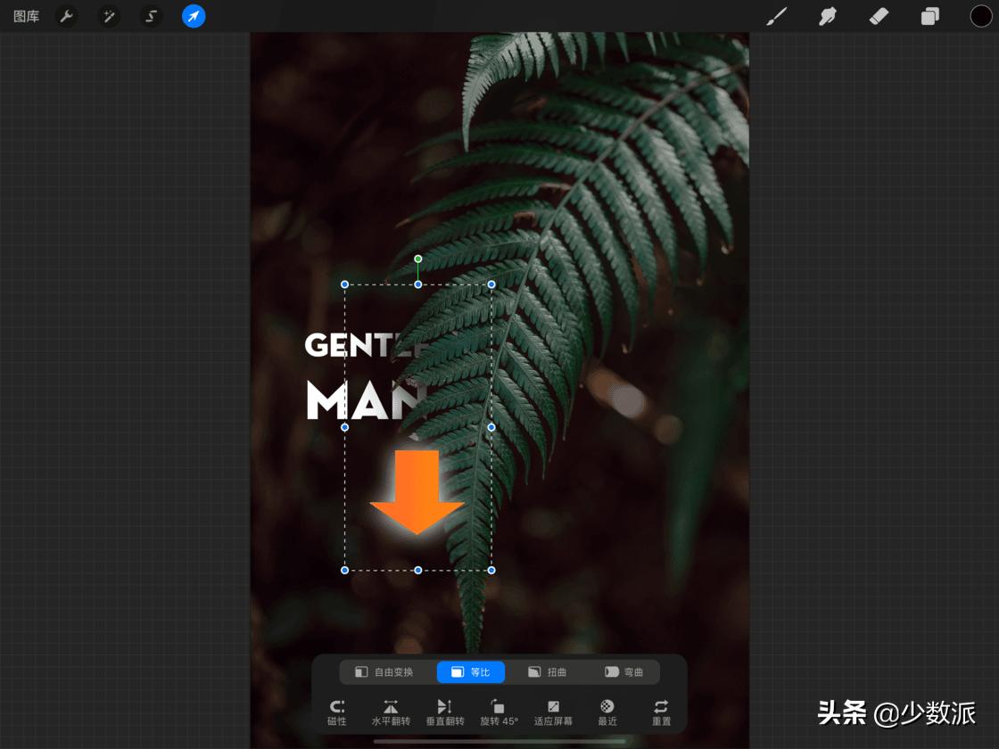 零基础也可以学平面设计,零基础免费学ipad插画