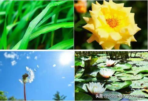 北京大学高颜值学霸,中国十大景色最美的大学