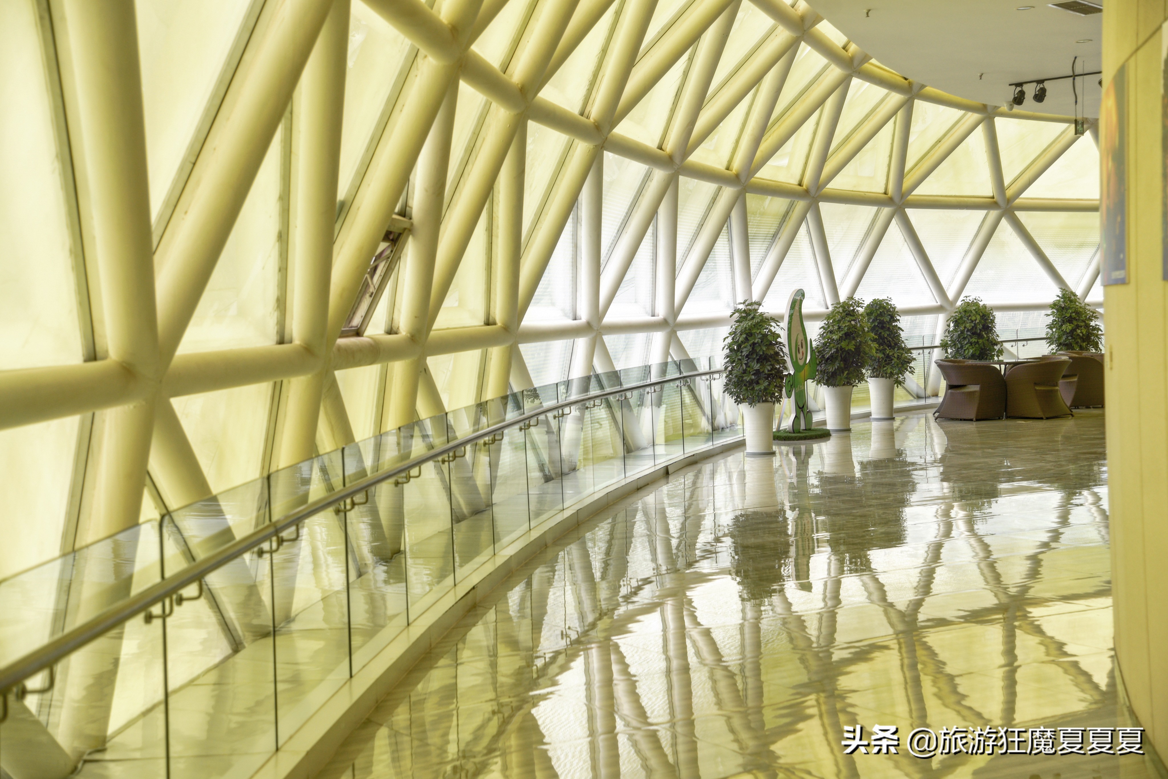 中国银耳多少钱,中国银耳之乡视频