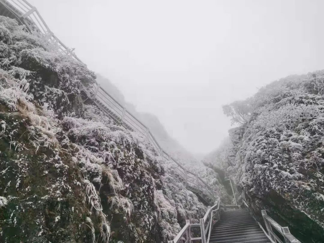 大寒潮小寒潮,寒潮带来大范围降雪