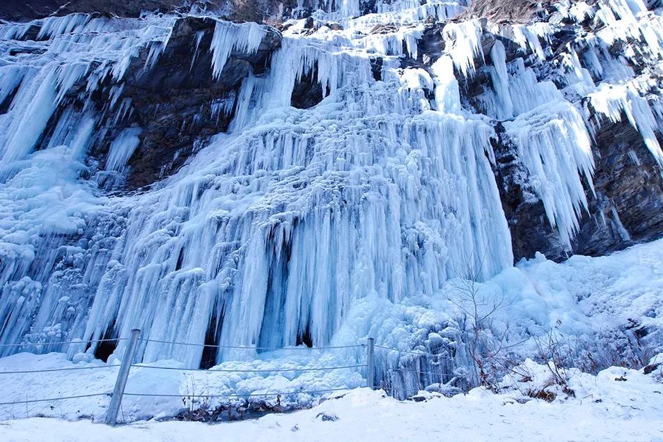 过年了你的爱车清洗了吗,新春要把你的爱车打扮美美的