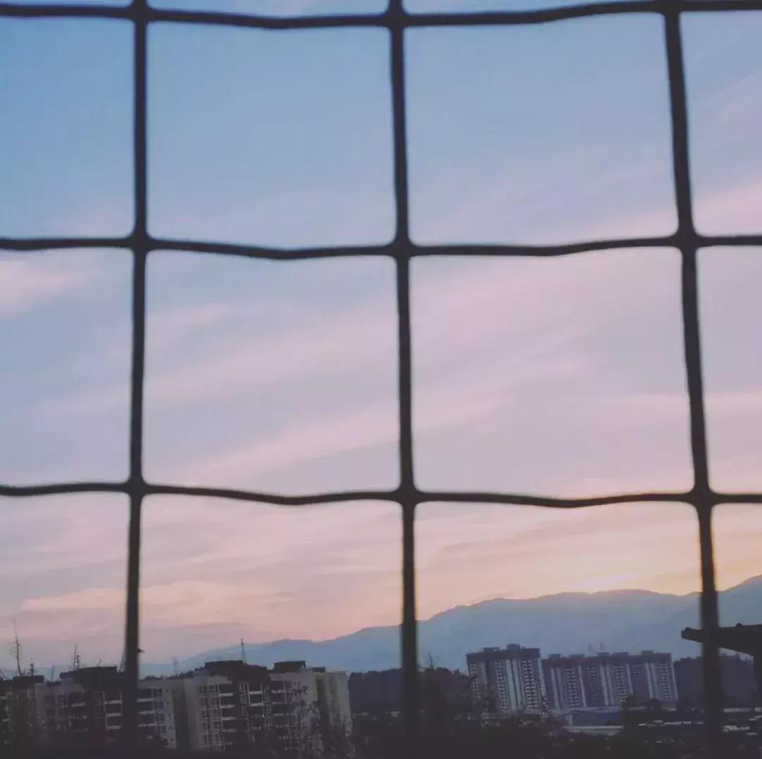 网红拍照滤镜怎么调的,拍出网红照滤镜