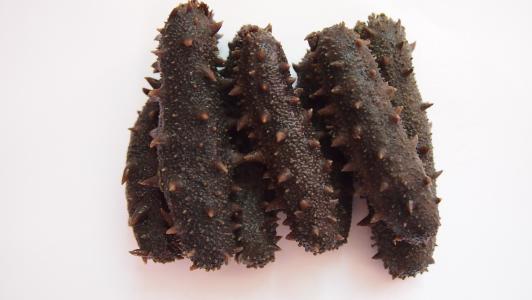 海参如何吃能够营养最大化,海参怎么吃才最补你真的知道吗