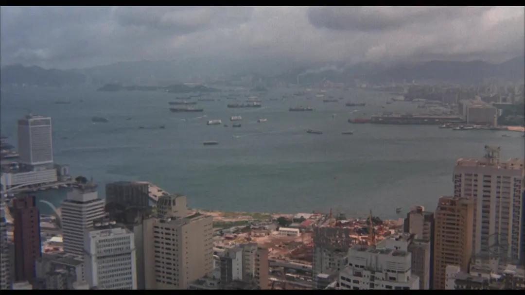 女偷渡客的血泪史电影,偷渡女悲惨遭遇的电影