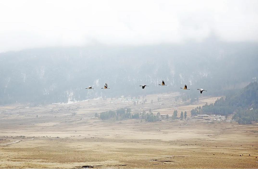小资圣地不丹王国：各种揭秘被骂惨，为什么还有人愿意去？
