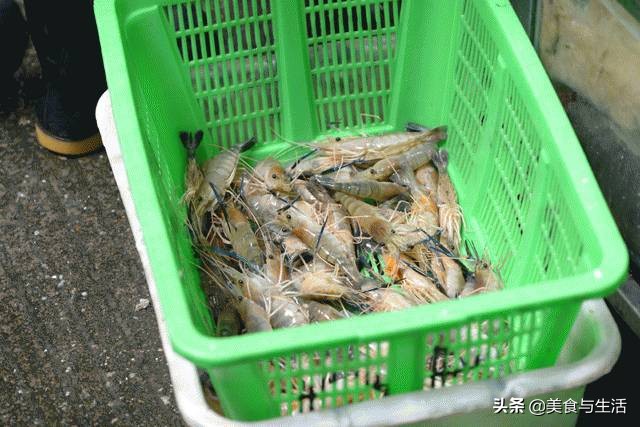 中国十大顶级大型海鲜市场在哪里,全国各大海鲜市场现状