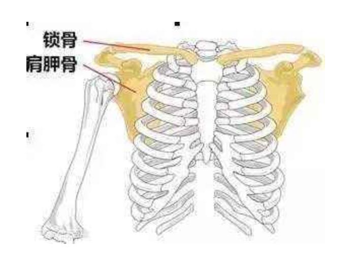 打球后肩膀痛怎么缓解,打球肩膀疼一招搞定