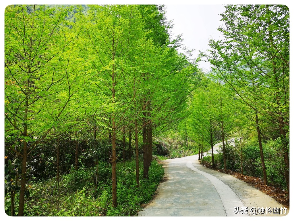 分享摄影爱好者的视频,分享摄影干货小知识