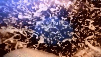 揭穿科学的面纱,走近科学令人无法接受的科学真相