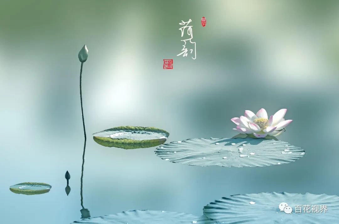 邯郸市女性摄影家,邯郸市女子摄影协会