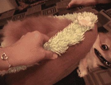 不联系的同学借钱怎么高情商回复,怎么回复借钱的同学