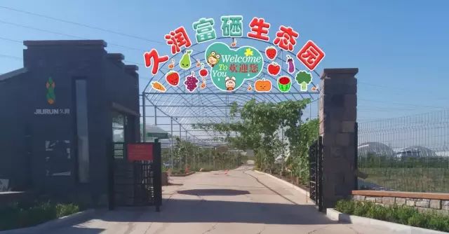 淄博周末旅游攻略自由行,淄博冬季旅游攻略