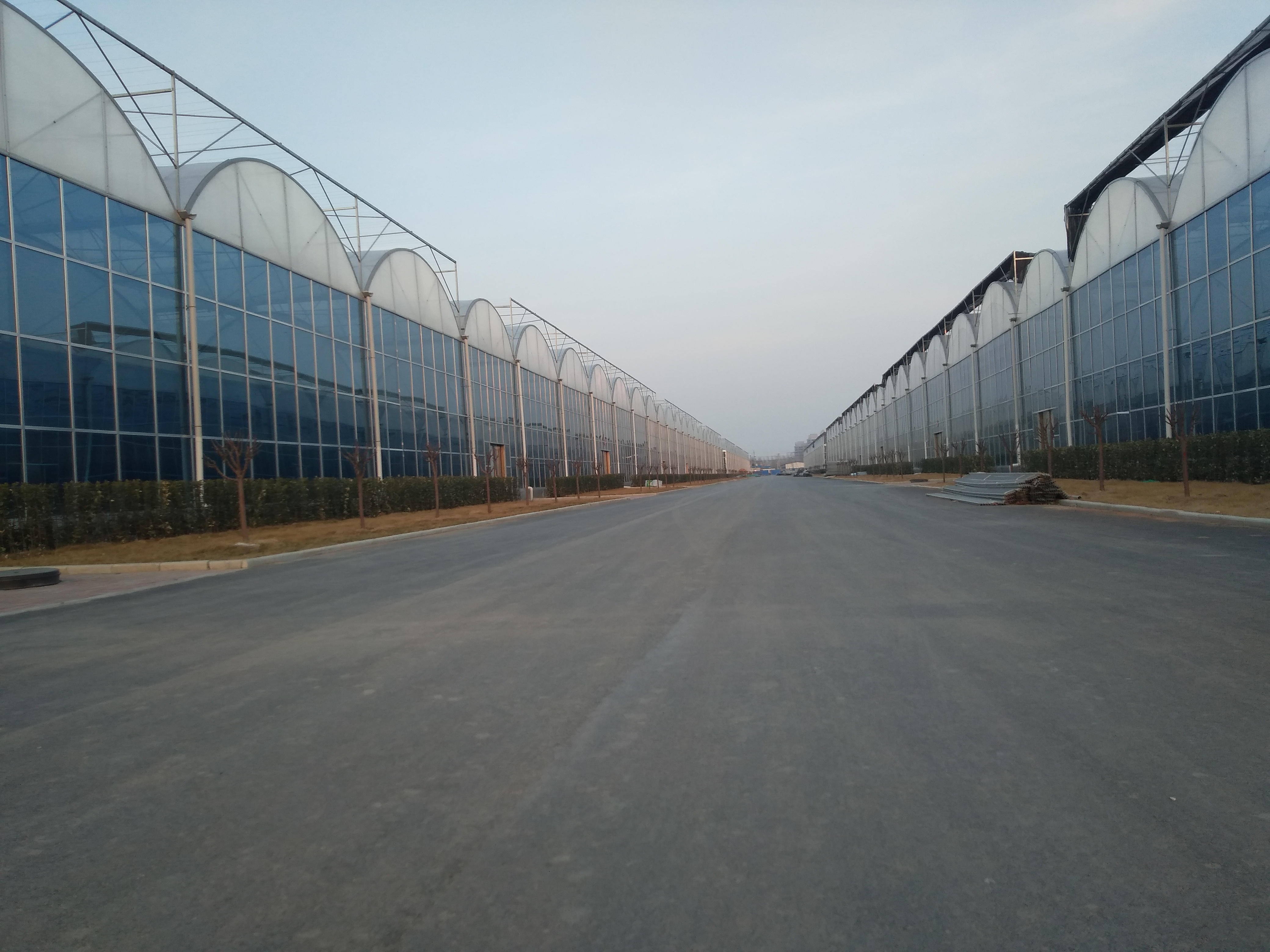如何使用连栋薄膜大棚温室更节能,连栋薄膜温室怎么选择薄膜类型
