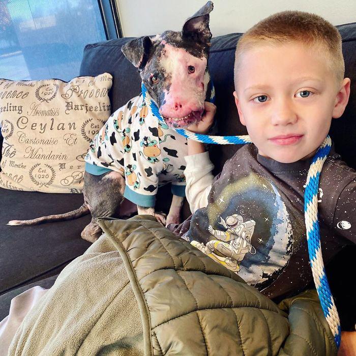 狗丑遭人嫌？虽饱受病痛折磨，但上天格外垂怜！网友：一样是宝贝