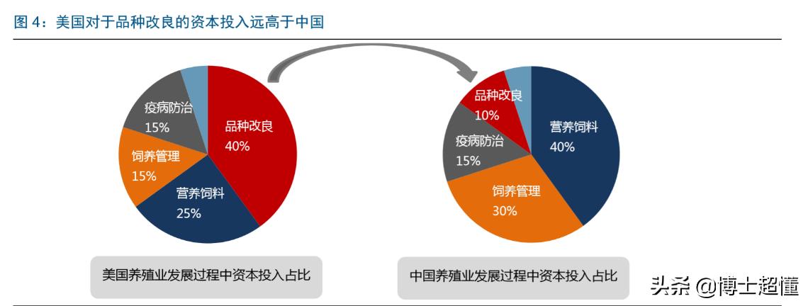美国控制了中国养猪业吗,中国生猪被美国垄断吗