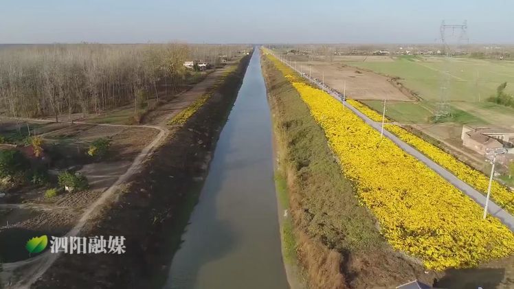 农业农村局民生实事项目,江苏宿迁泗阳农业农村局