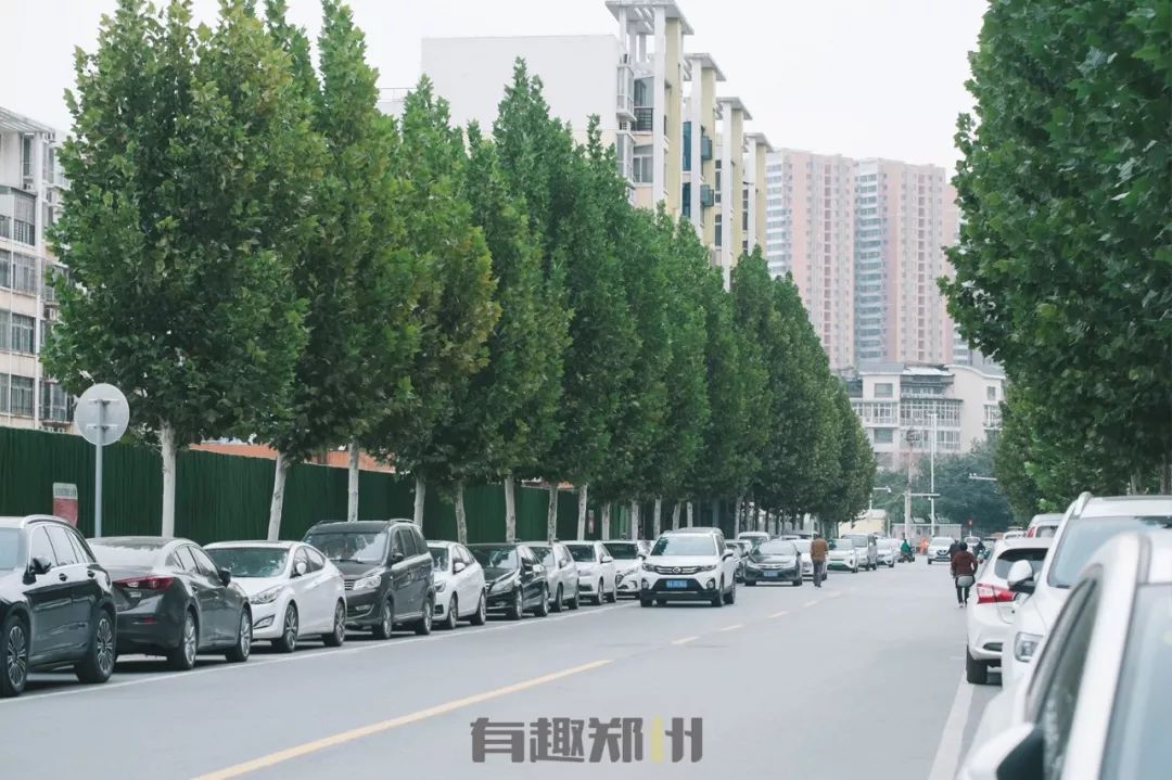 郑州南阳路房价18万,郑州南阳路黄河路房价