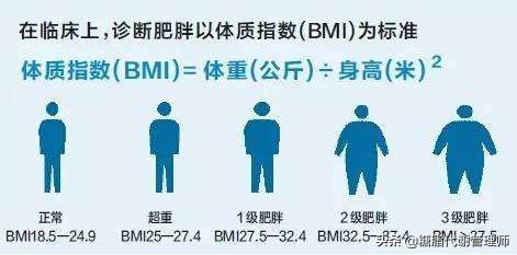五个技巧内分泌回到正轨,掌握4个健康饮食原则