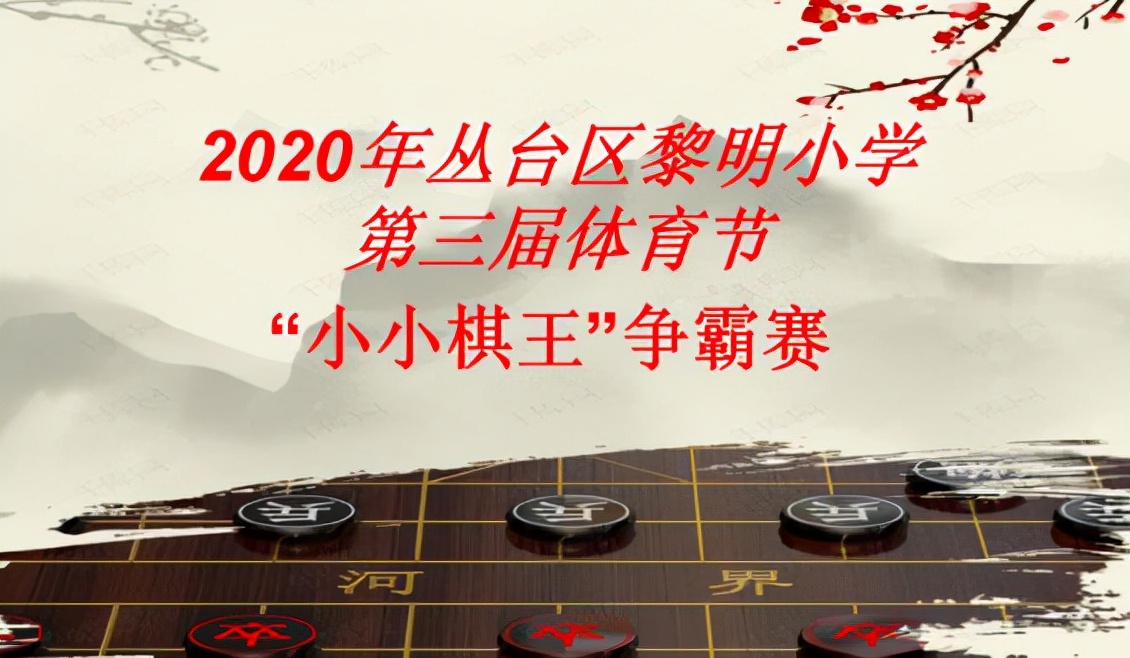 邯郸市黎明村小学怎么样,邯郸黎明小学简介