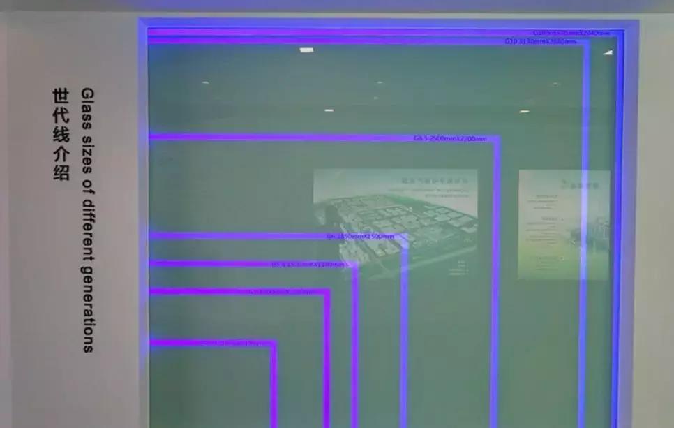 从捡垃圾到世界冠军电影视频,从捡垃圾开始到世界首富在线观看