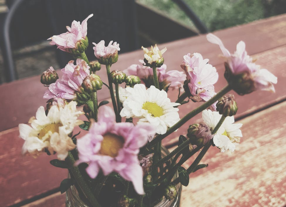 “不结婚，老了是不是真的很惨”，三个独居老人说出了实情