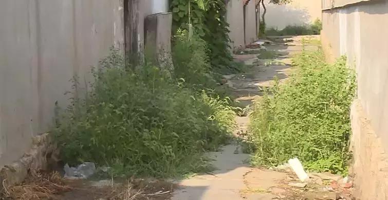 威海脏乱差,威海环境卫生整治