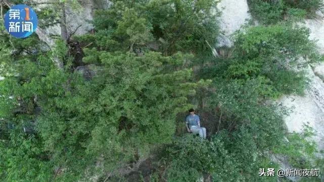 华山跳崖轻生事件是哪年,湖北男子华山跳崖轻生事件