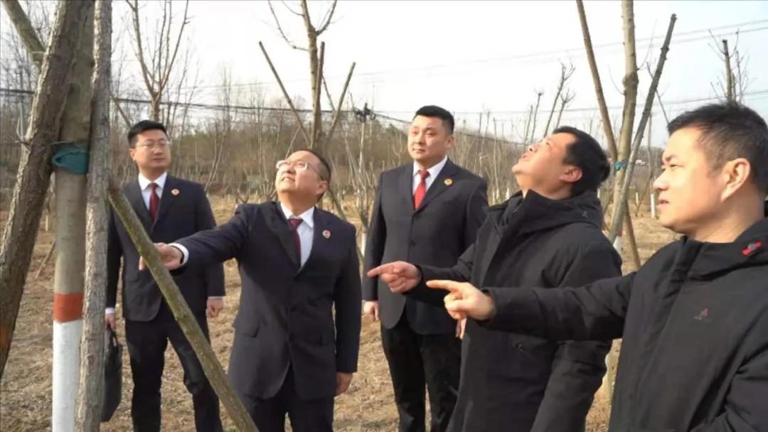 最高检发布检察公益诉讼典型案例,个人信息保护公益诉讼指导性案例