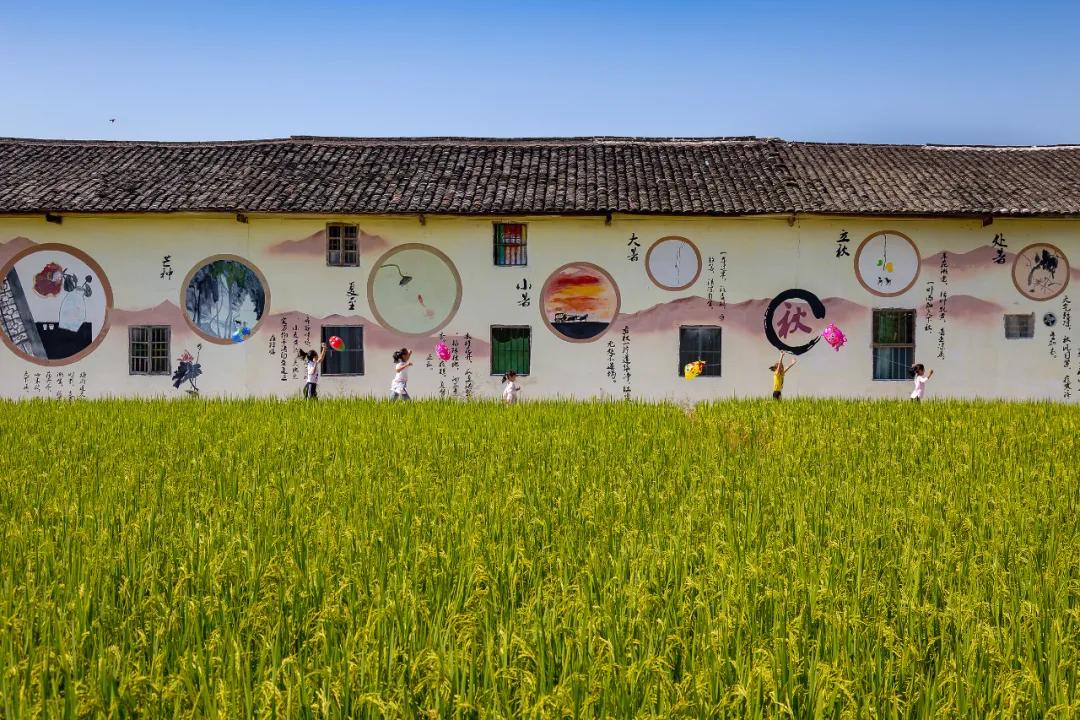 走向我们的小康生活微电影,走向我们的小康生活中国画