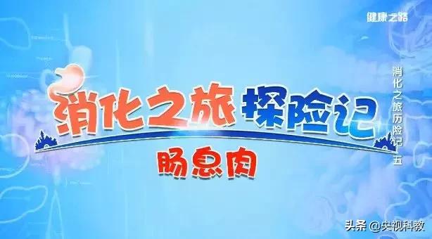 肠道安全检查!遇上肠息肉、结直肠癌……怎么办?