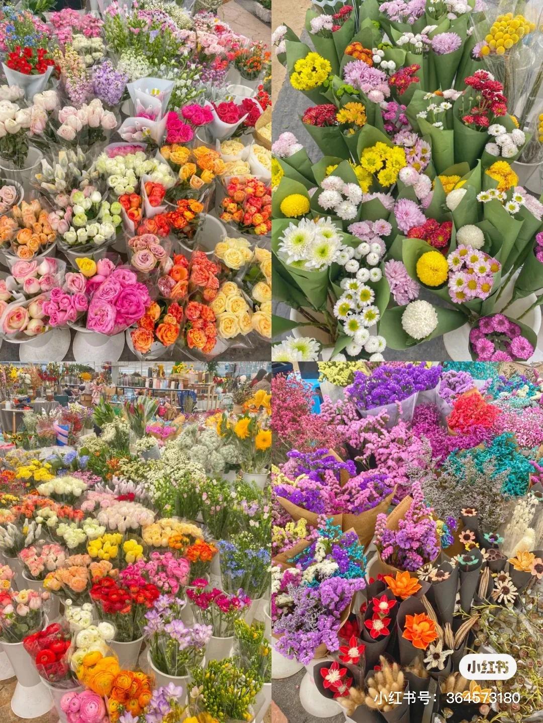 成都的花市批发市场在哪里,成都花市合集