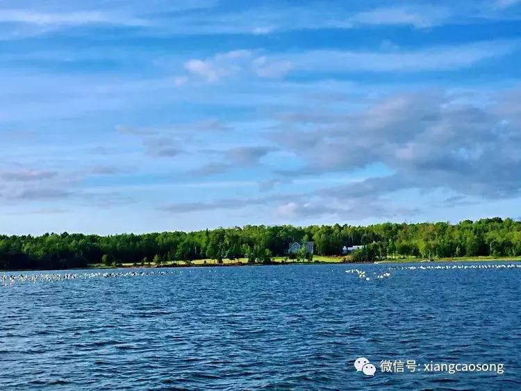 漂洋过海来挖宝,漂洋过海去台湾吃海鲜