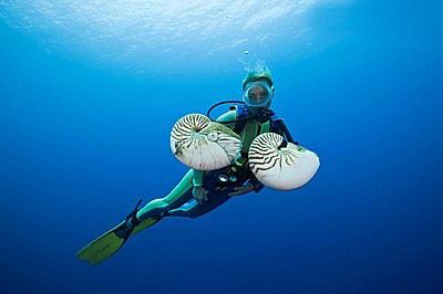 水肺潜水基本注意事项,广州海底水肺潜水注意事项