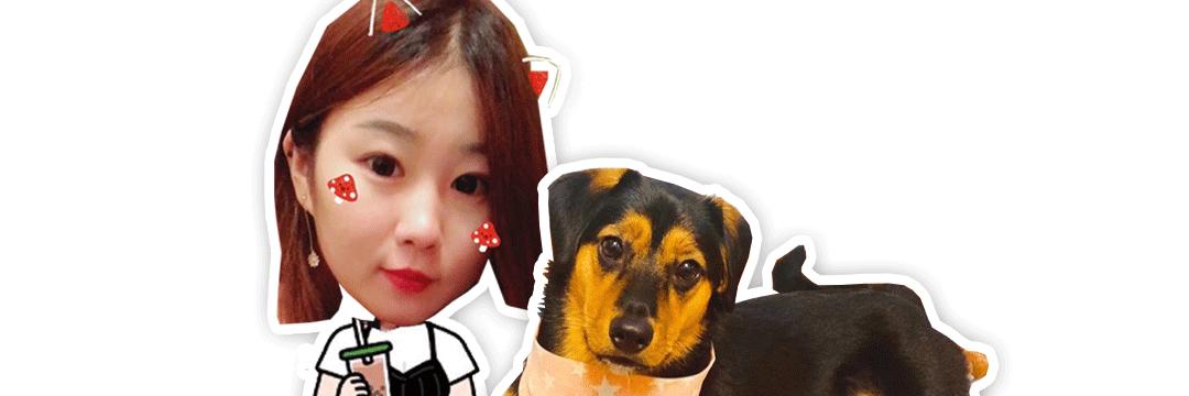 如何辨别狗粮好坏和选择的方法,狗粮泡水里怎么确认是好狗粮