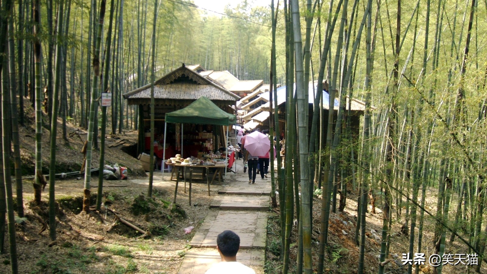 四川宜宾竹海风景,宜宾蜀南竹海全视频
