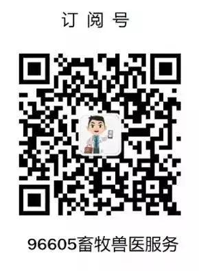 病例分享丨母牛产后瘫痪的几种治疗方法