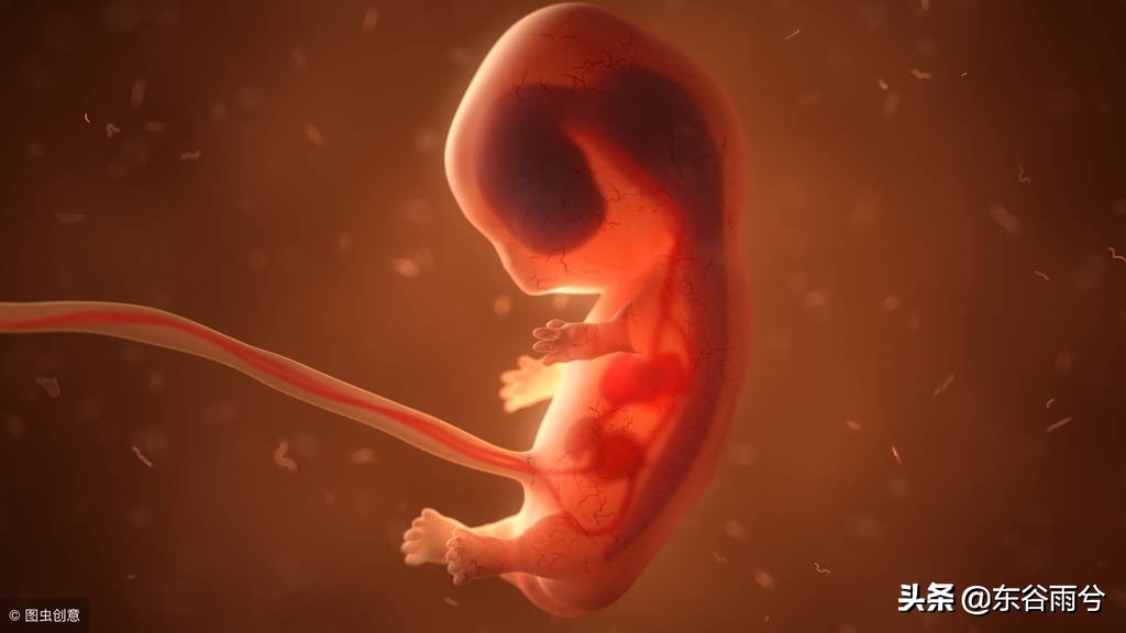 怀胎十月胎儿发育标准注意事项,怀胎十月宝宝发育视频