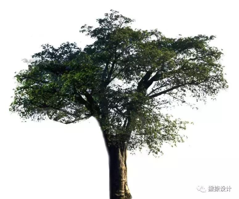 TLYL1·作品印象零壹零