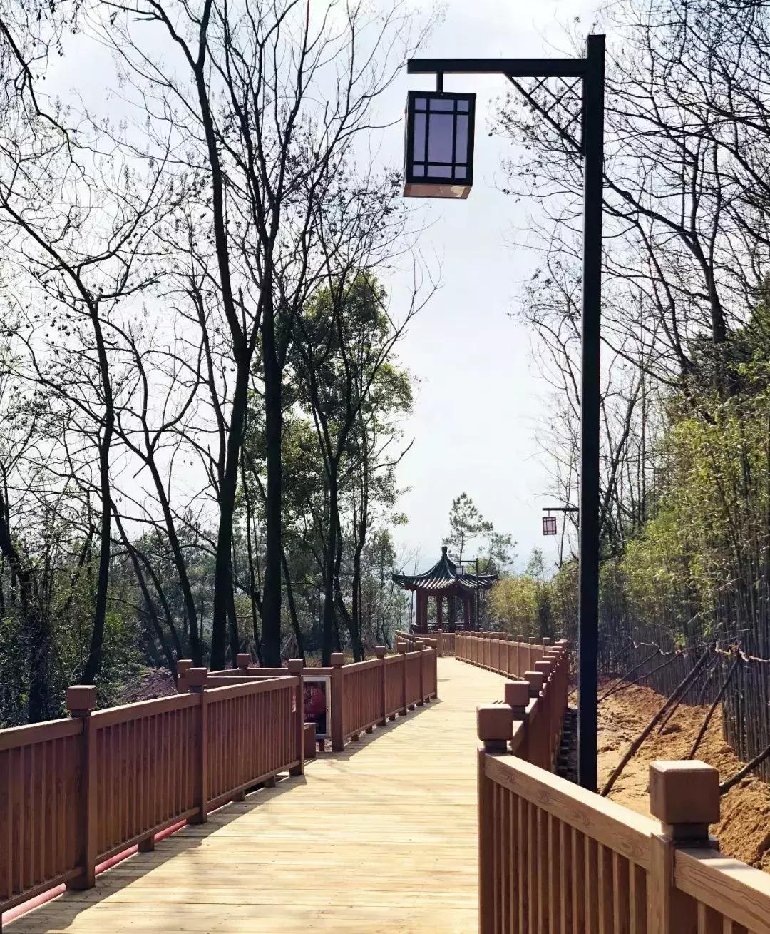 离赣州最近的森林公园还有多远,赣州最好玩的公园不要门票