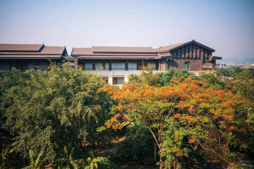 西双版纳蓝孔雀江景主题酒店,西双版纳告庄双景酒店攻略