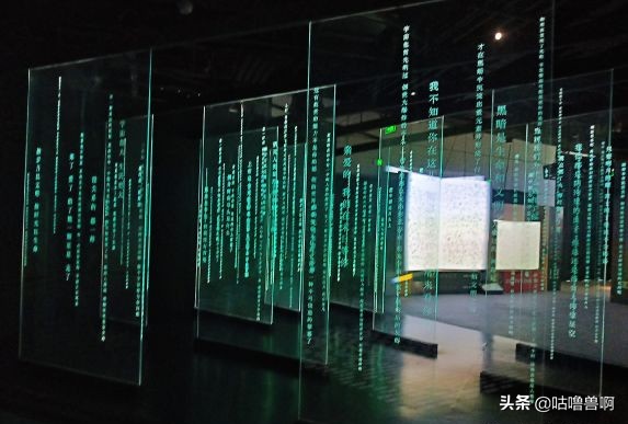 带你发现上海超治愈打卡地,上海人不会推荐的地方