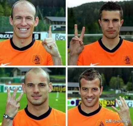 斯内德退役荷兰,斯内德在荷兰国家队