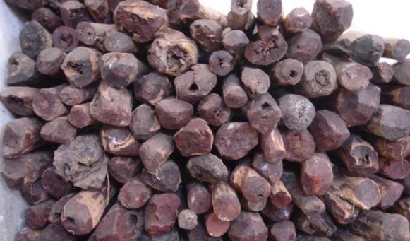 带你认识沉香,带你认识缅甸花梨